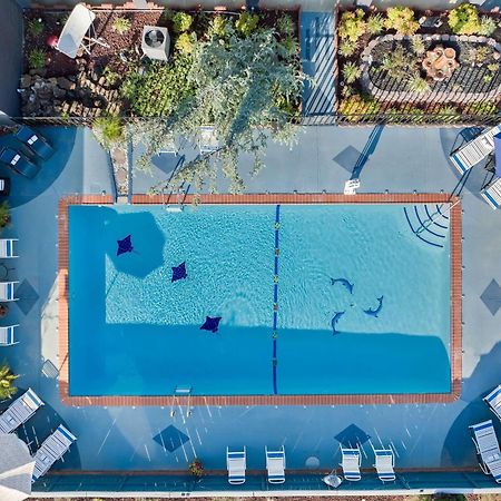 Best Western Corbin Inn Dış mekan fotoğraf